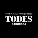 Аватар канала TODES | ВАВИЛОВА | ТАНЦЫ