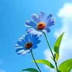 Аватар канала 𝙊𝙣𝙚 𝙒𝙖𝙡𝙡