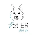 Аватар канала VetER