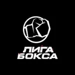 Аватар канала «ЛИГА БОКСА»