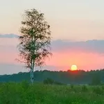 Аватар канала РОДИНА МОЯ