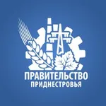 Аватар канала Правительство ПМР