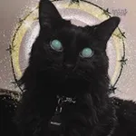 Аватар канала saint meow