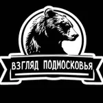 Аватар канала Взгляд Подмосковья – главные новости столичного региона