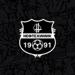 Аватар канала ДЮСШ ФК «Нефтехимик»
