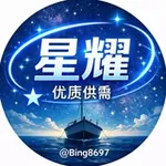 Аватар канала 星耀出海 优质供需 海外项目资源