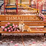 Аватар канала ТИМАШЕВСК НОВОСТИ