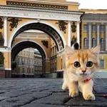 Аватар канала 🔥 Фонтанка СПб