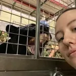 Аватар канала Дневник зоокипера 🐾