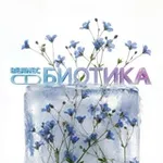 Аватар канала ВелнесБиотика