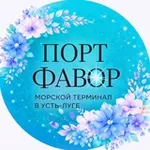 Аватар канала Порт Фавор