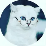 Аватар канала Светлые Слова