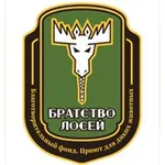 Аватар канала 🫎 Братство лосей 🫎