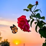 Аватар канала معاً الي الله ❤️ 🌿