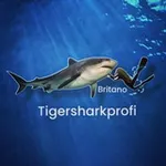 Аватар канала Остров Тигровых Акул
