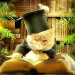 Аватар канала Книгaмоделизм