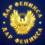Аватар канала ДАР ФЕНИКСА