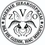 Аватар канала Боевые Шелкопряды 🇷🇺 масксети