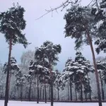 Аватар канала Зелёная Преображенка
