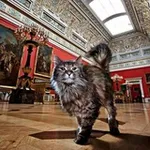 Аватар канала Экскурсии «Привет, а ты где ?» 🐾