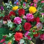 Аватар канала 💞 بستان الورد 💞