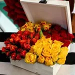 Аватар канала 💗 🌸 جمال الحياة 🌸 💗