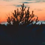 Аватар канала Les Belles Images