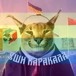 Аватар канала Уши Каракала 🅉 🇷🇺 🐍 #ВернитеДетямРадугу