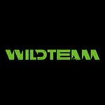 Аватар канала WildTeam