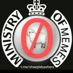 Аватар канала Sheeple Bashers