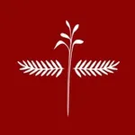 Аватар канала متجر شمران | Shamran store