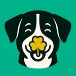 Аватар канала Hundeglück 🐶 🍀