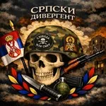 Аватар канала Сербский Дивергент