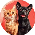Аватар канала Кошечки & Собачки 🐈 🐶