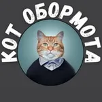 Аватар канала Кот обормота 🇷🇺