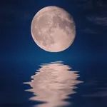 Аватар канала печаль, любовь, открытость