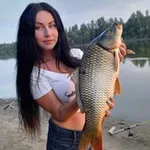 Аватар канала Охота | Рыбалка | Отдых