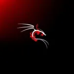 Аватар канала ادو//ات بايثـ//ــون