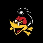 Аватар канала Woodpecker's Hove