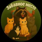 Аватар канала Забавное Место 🐾