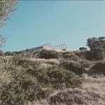 Аватар канала wandering spΛrtan