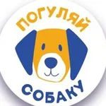 Аватар канала Погуляй собаку