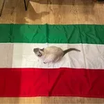 Аватар канала موزنامه