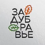 Аватар канала ЗАДУБРАВЬЕ