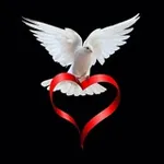 Аватар канала أجمل ما قيل في الحب ❤️