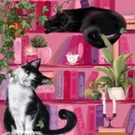 Аватар канала kot books 🐈 18+