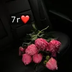 Аватар канала 🌹 جمال الورد ورقته 7r 🌹