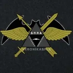 Аватар канала Хроника оператора БпЛА | БВС, БЛА