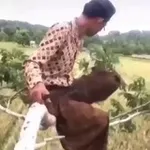 Аватар канала ВИДЕОМЭМЫ