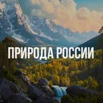 Аватар канала Природа России